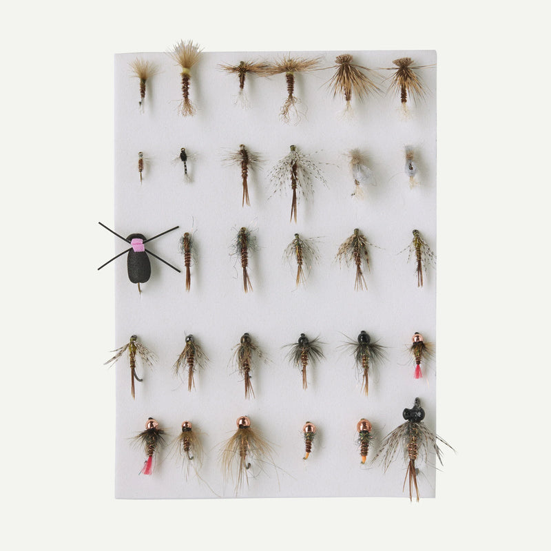 Patagonia Fly Box - Pheasant Tail Flies