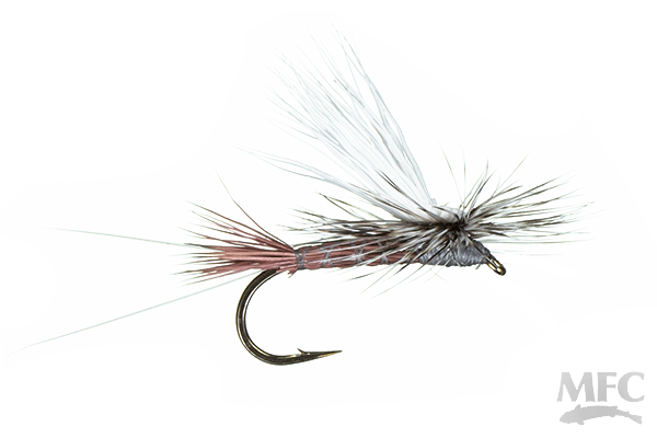 McCoy's Iso - Cherry Bomb