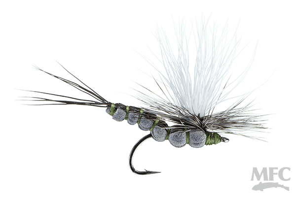 McCoy's All Day Dun - Isonychia