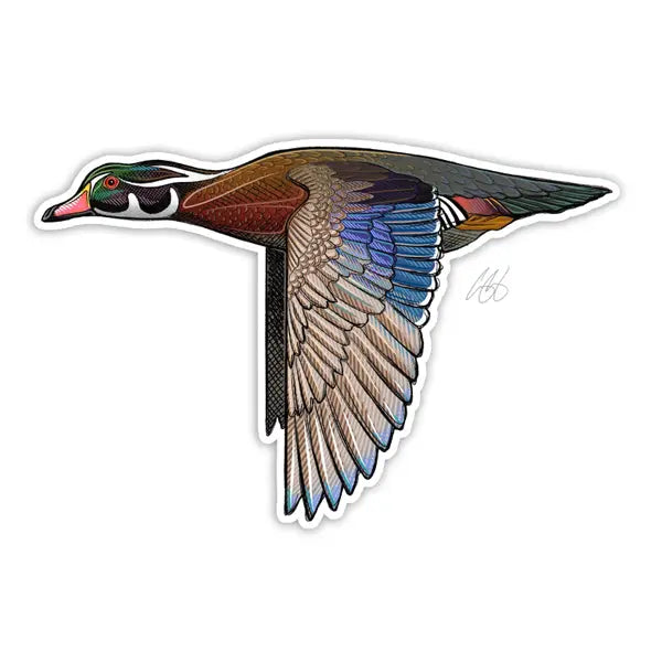 Casey Underwood Wood Duck Sticker