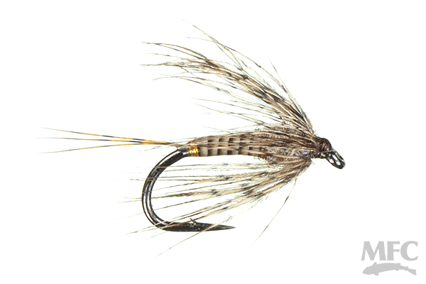 MFC Lucent Tag Soft Hackle - Quill/Fl. Orange