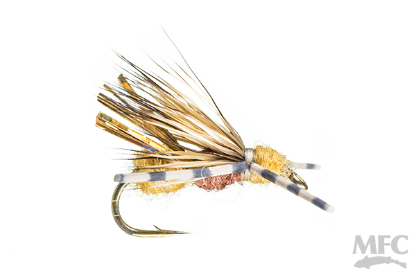 Galloup's Ant-Acid - Cinnamon