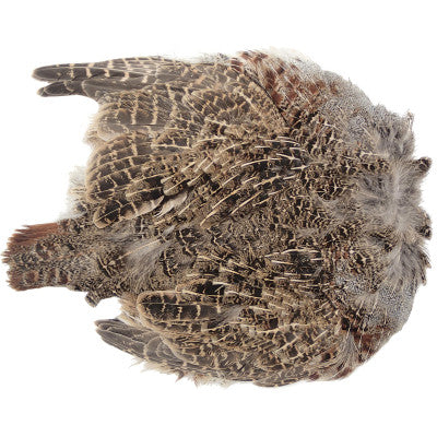 Wapsi Hungarian Partridge Skin #1