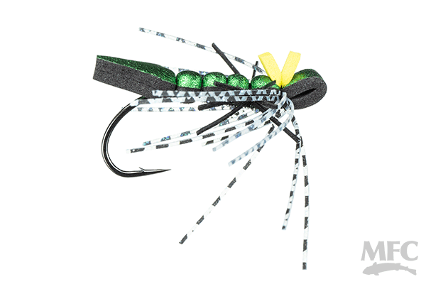 Piette's Dragon Wiggly