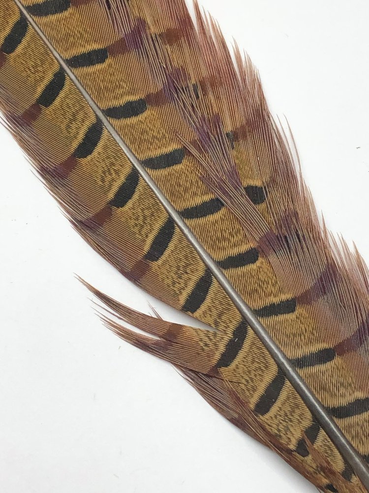 Natures Spirit Ringneck Pheasant Center Tails