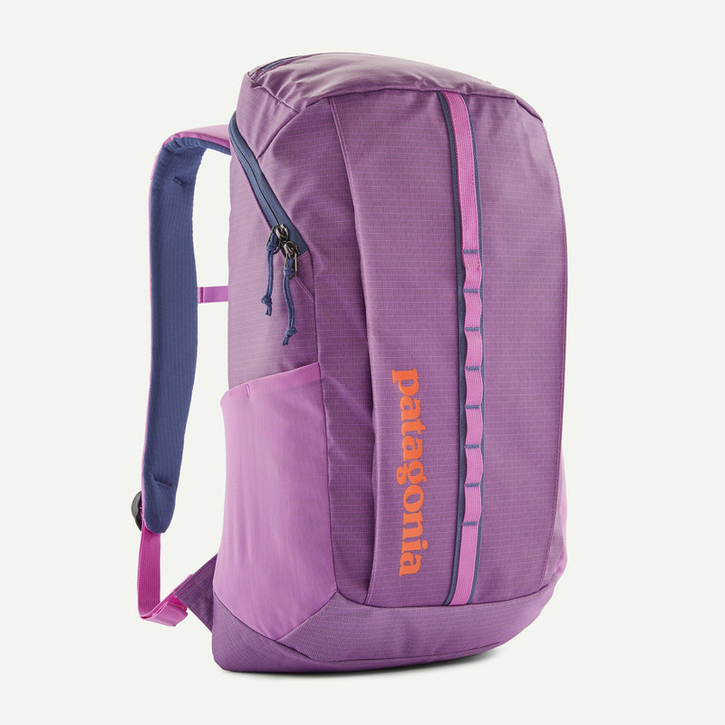 Patagonia Black Hole Pack 25L