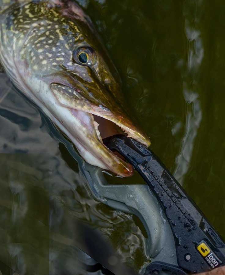 Loon Apex Lip Gripper