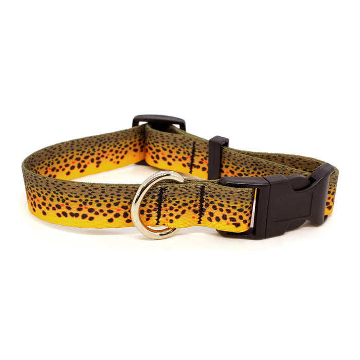 Rep Your Water Trout Dog Collar