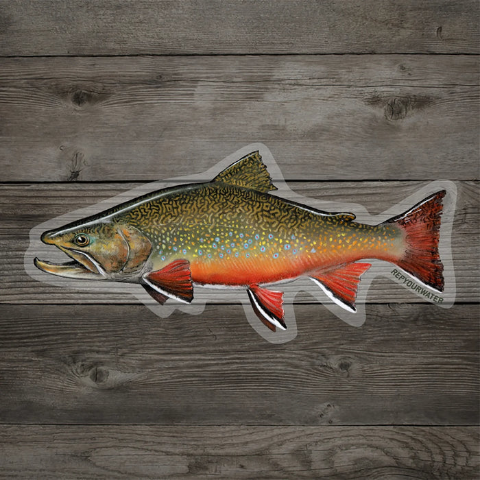 Rep Your Water Brookie Sticker