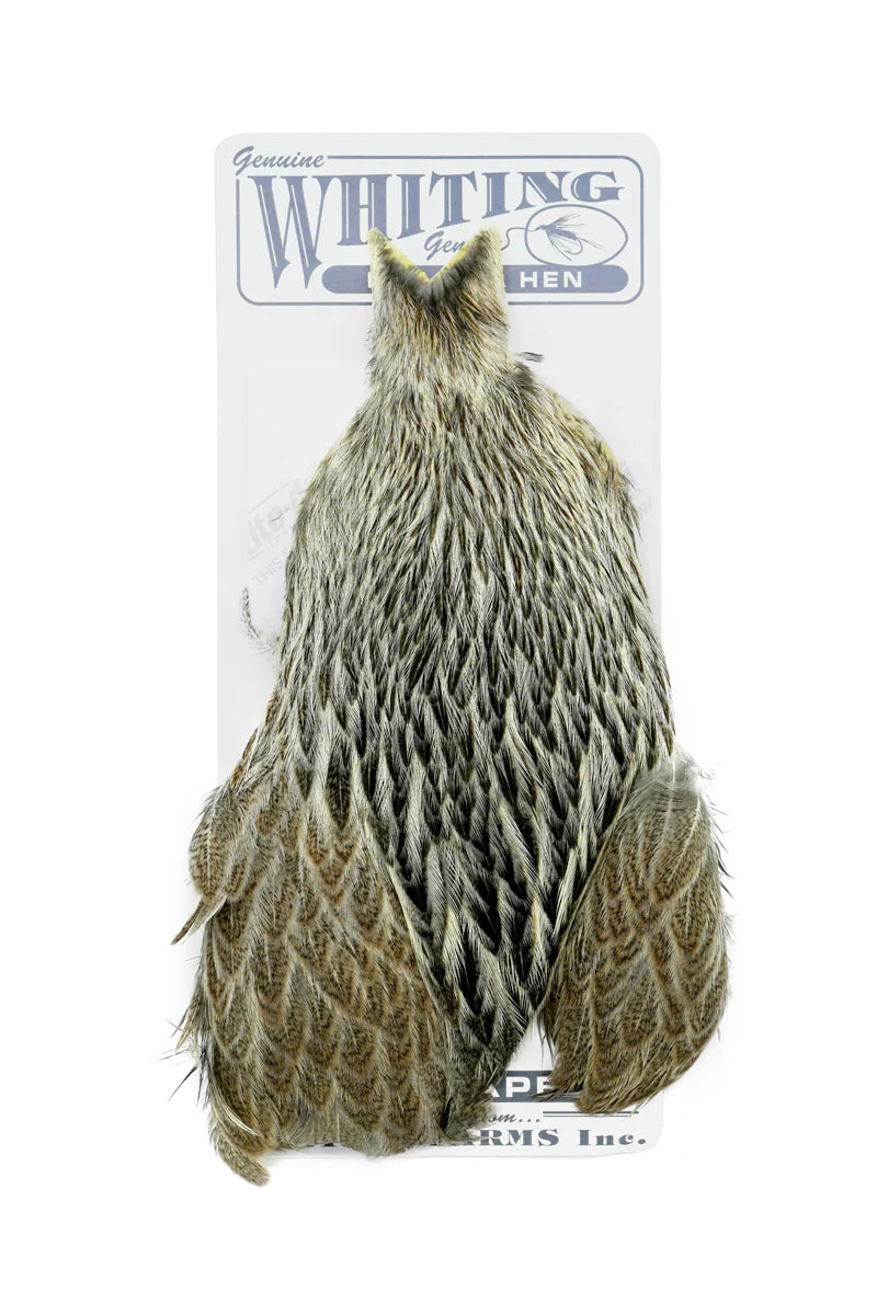 Whiting Farms Brahma Hen Cape
