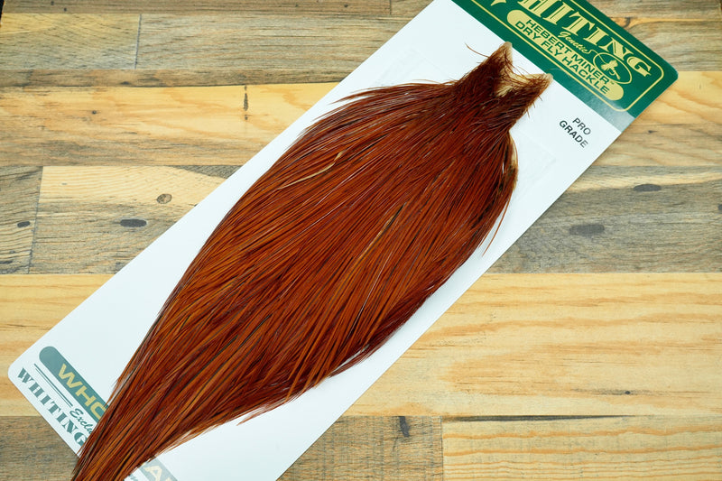 Whiting Hebert Pro Grade Medium Brown Cape #0138