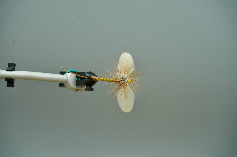 Regan Hen Wing Hex Spinner