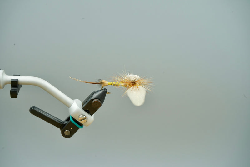 Regan Hen Wing Hex Spinner