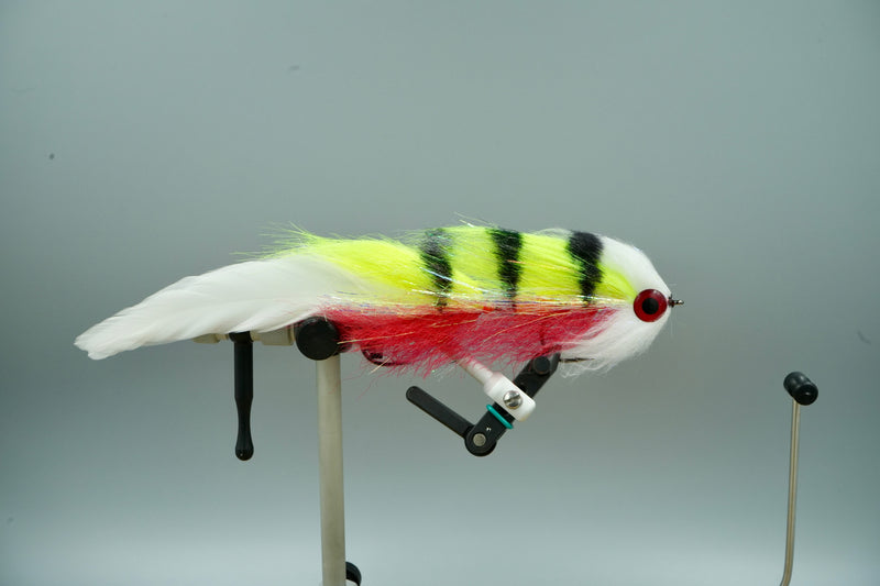 Grajewski's Musky Yard Sale - Circus Perch