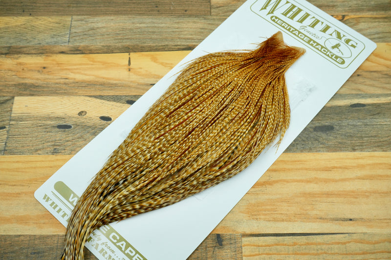 Whiting Heritage Grade 2 Barred Ginger Cape #0039