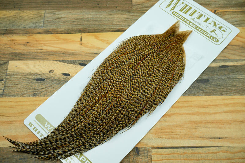 Whiting Heritage Grade 2 Cree Cape #0037