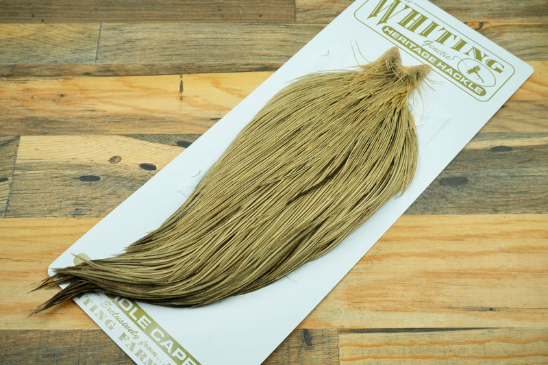 Whiting Heritage Grade 2 Badger Cape #0040