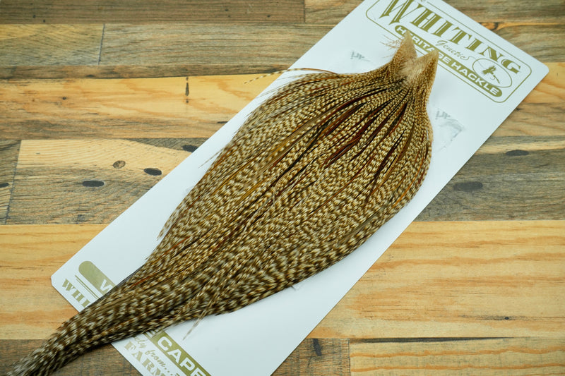 Whiting Heritage Grade 2 Dun Cree Cape #0038