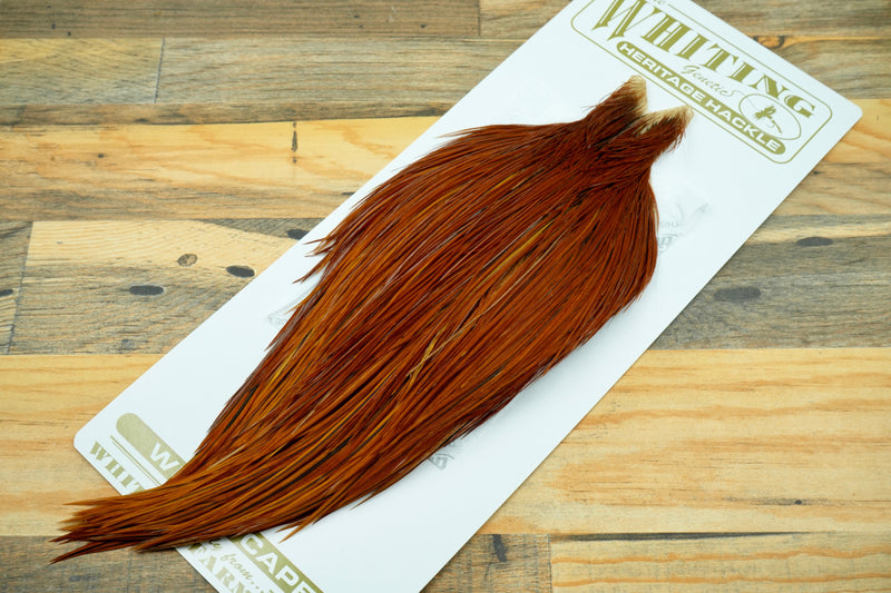 Whiting Heritage Grade 2 Brown Cape #0035
