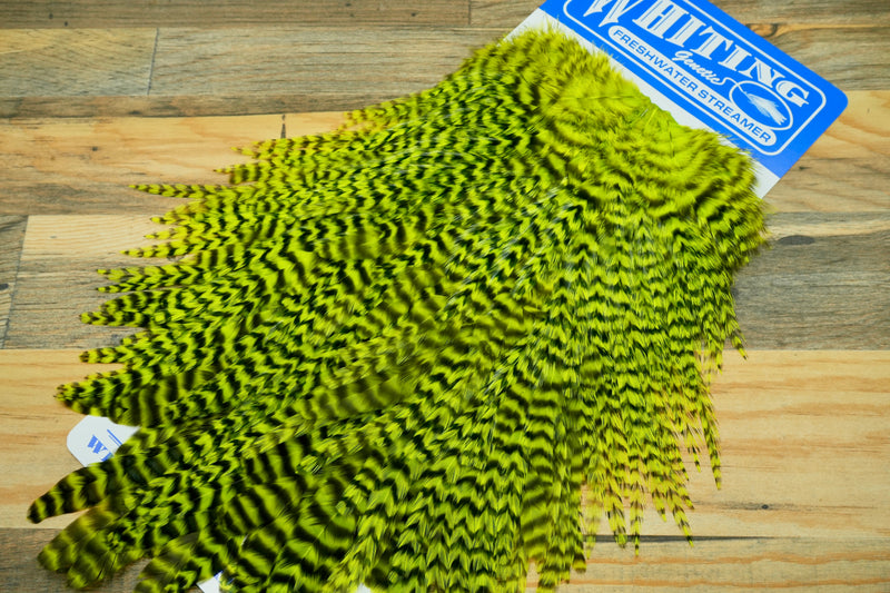 Whiting Farms Freshwater Streamer Saddle