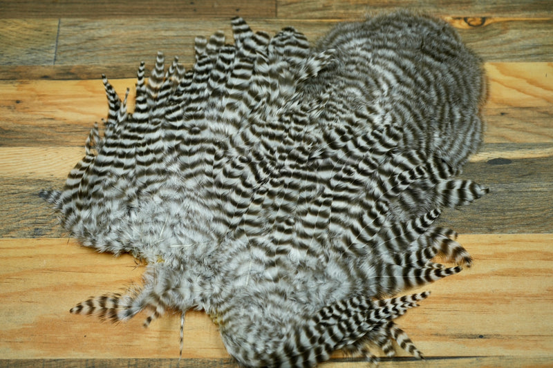 Whiting Farms Rooster Soft Hackle w/ Chickabou