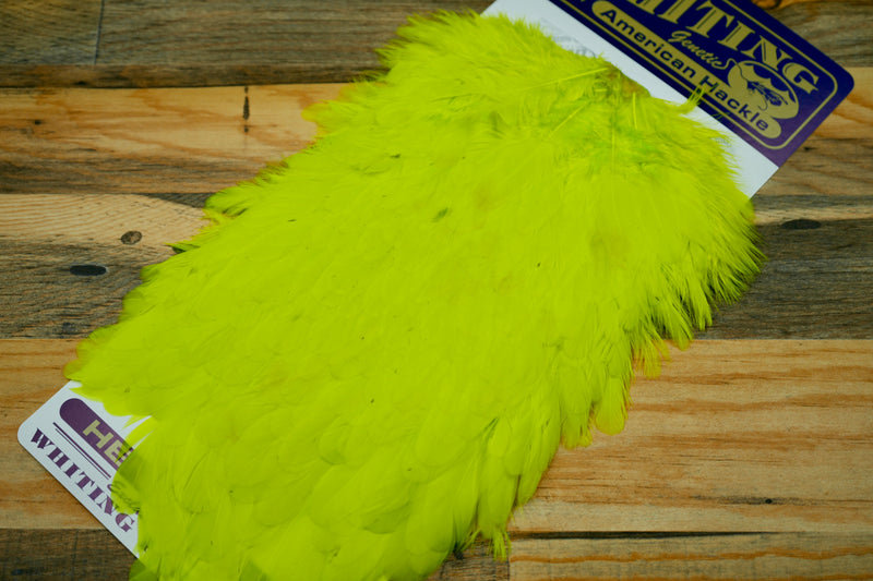 Whiting Farms American Hen Saddle