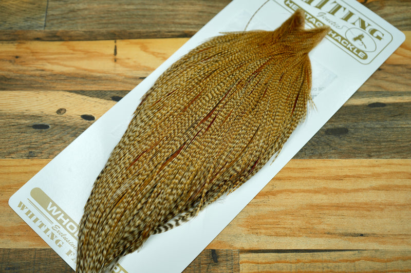 Whiting Heritage Grade 2 Barred Ginger Cape #0045