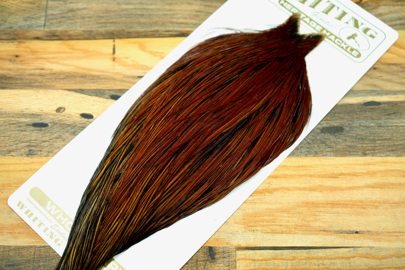 Whiting Heritage Grade 2 Furnace Cape #0046