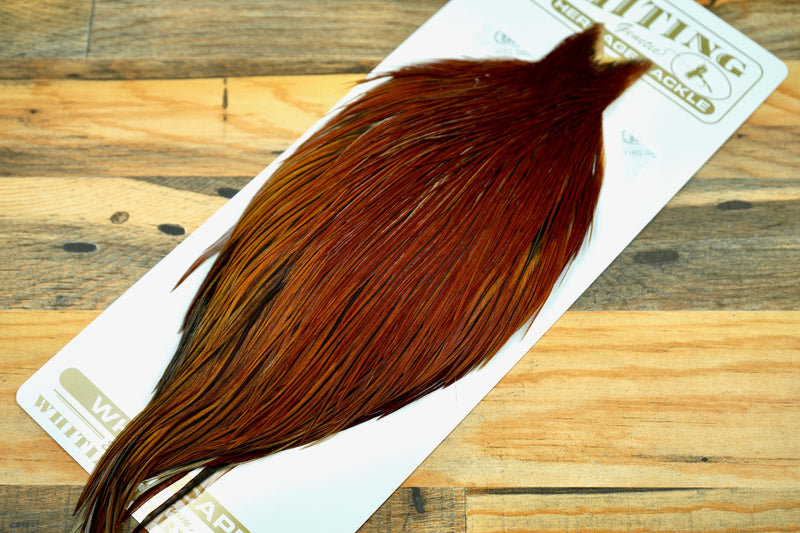 Whiting Heritage Grade 2 Brown Cape #0047