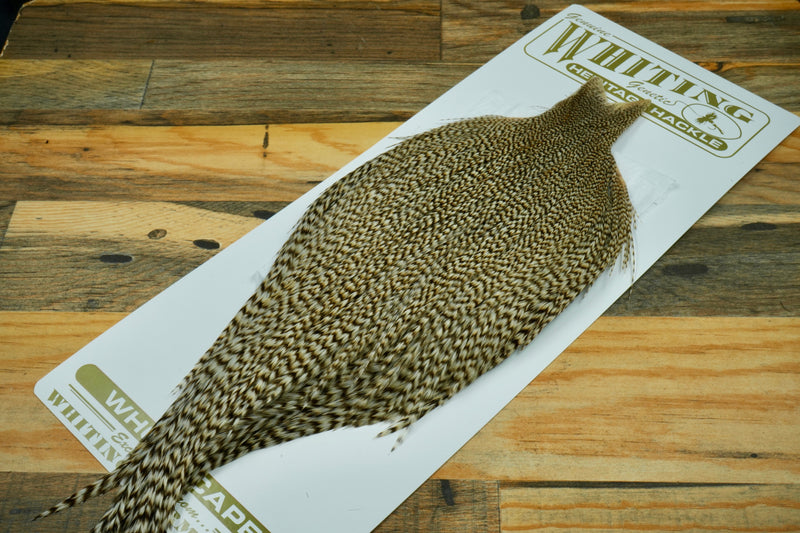 Whiting Heritage Grade 2 Grizzly Variant Cape #0056