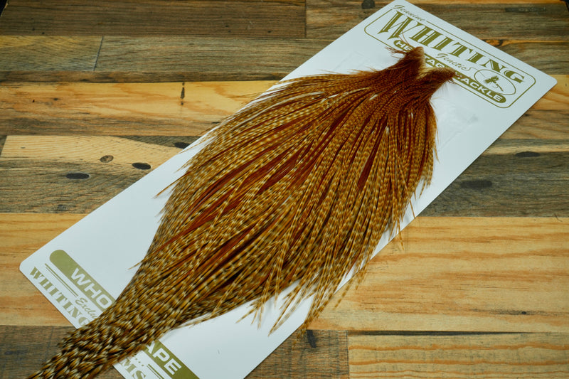 Whiting Heritage Grade 2 Barred Dark Ginger Cape #0058