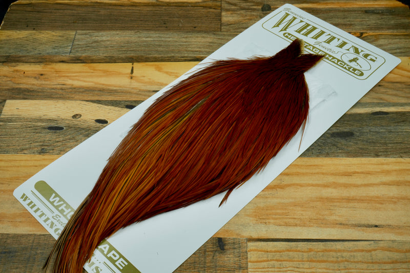 Whiting Heritage Grade 2 Brown Cape #0059