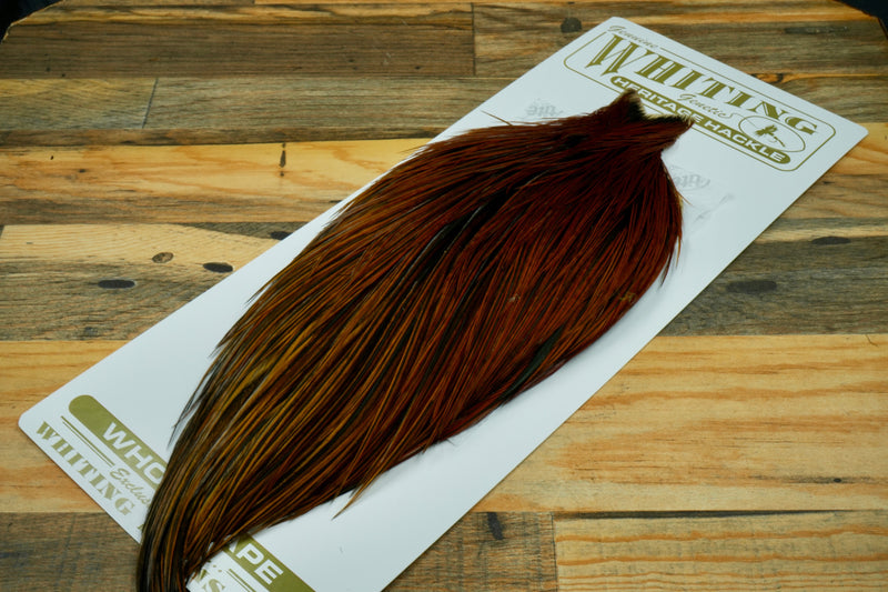 Whiting Heritage Grade 2 Heritage Furnace Cape #0061