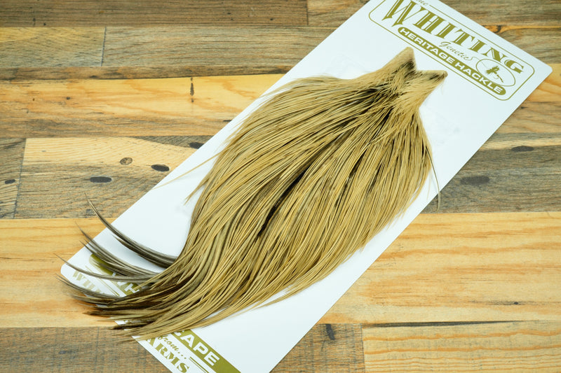 Whiting Heritage Grade 1 Golden Badger Cape #0071