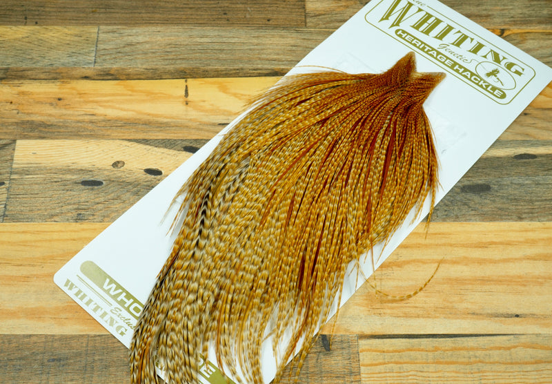 Whiting Heritage Grade 1 Barred Ginger Cape #0064