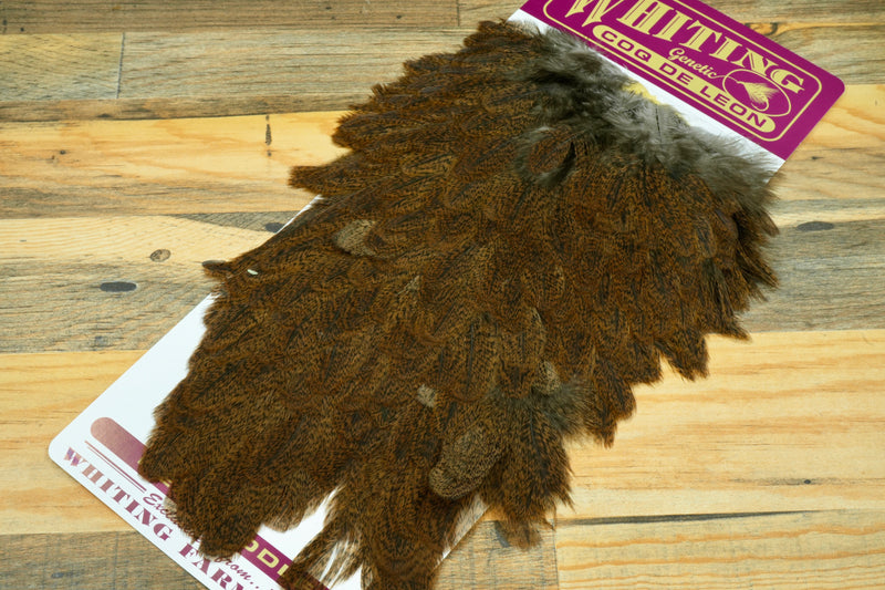 Whiting Coq de Leon Hen Saddle
