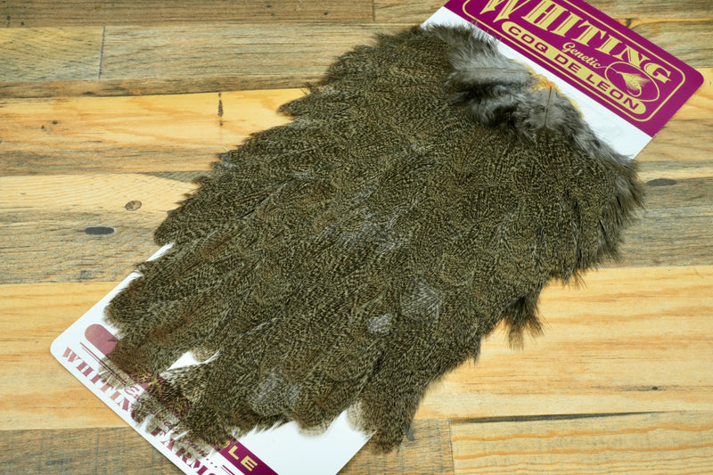 Whiting Coq de Leon Hen Saddle