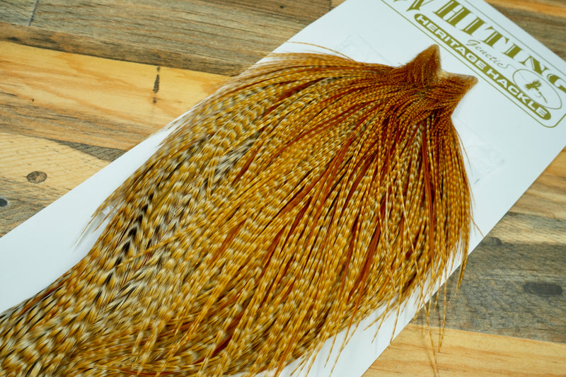 Whiting Heritage Grade 1 Barred Ginger Cape #0064