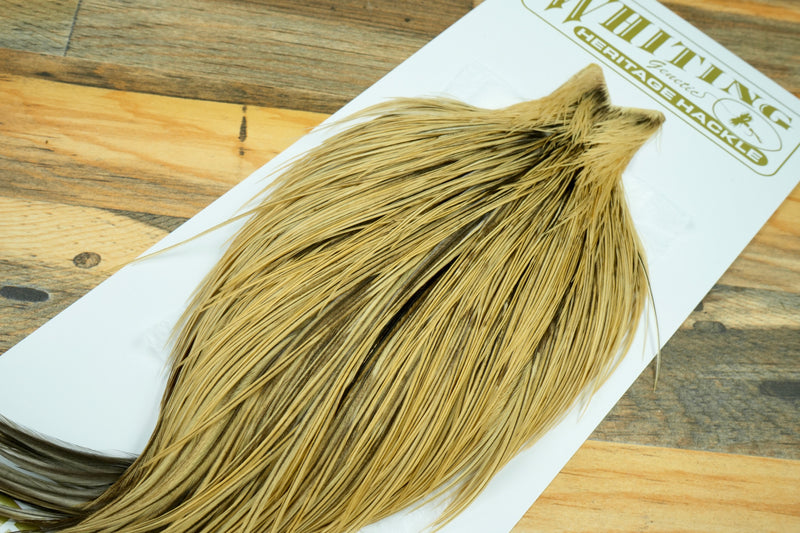 Whiting Heritage Grade 1 Golden Badger Cape #0071