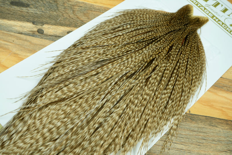 Whiting Heritage Grade 1 Dun Grizzly Cape #0062