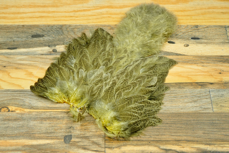 Whiting Brahma Hen Soft Hackle w/ Chickabou