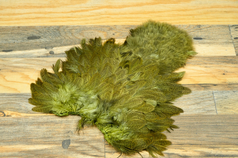 Whiting Brahma Hen Soft Hackle w/ Chickabou