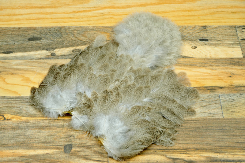 Whiting Brahma Hen Soft Hackle w/ Chickabou