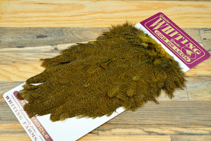 Whiting Coq de Leon Hen Saddle