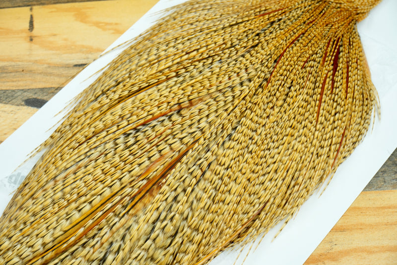 Whiting Heritage Grade 1 Barred Ginger Cape #0075