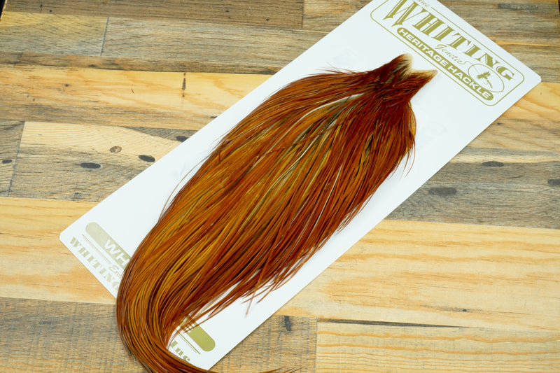 Whiting Heritage Grade 1 Brown Cape #0076