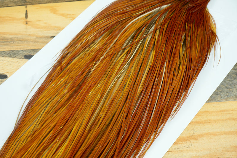 Whiting Heritage Grade 1 Brown Cape #0076