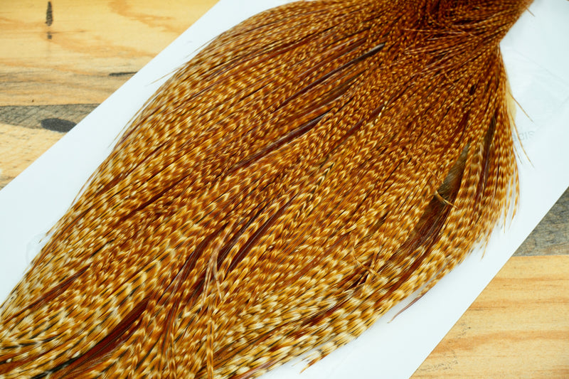 Whiting Heritage Grade 1 Dark Barred Ginger Cape #0081