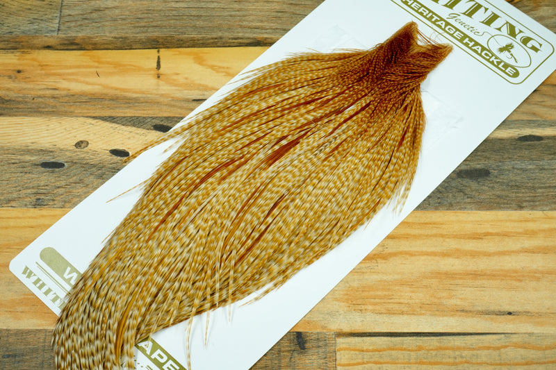 Whiting Heritage Grade 1 Barred Ginger Cape #0082