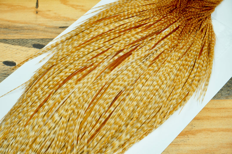 Whiting Heritage Grade 1 Barred Ginger Cape #0082